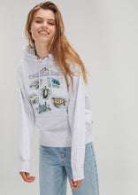 Load image into Gallery viewer, Vintage Hoodie