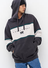 Load image into Gallery viewer, Worn Hoodie
