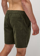 Load image into Gallery viewer, Eric Cord Walk Shorts