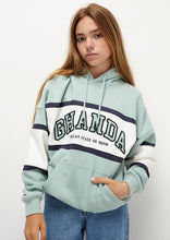 Load image into Gallery viewer, Kayla Hoodie