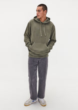 Load image into Gallery viewer, Basic Regular Hoodie