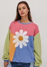Load image into Gallery viewer, Panel Thrift Crew