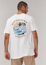 Load image into Gallery viewer, The Pass Vintage Tee