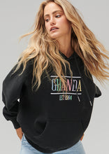 Load image into Gallery viewer, Vintage Hoodie