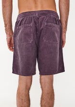 Load image into Gallery viewer, Cord Walk Shorts