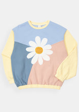 Load image into Gallery viewer, Panel Thrift Crew