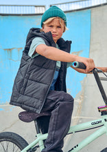 Load image into Gallery viewer, OG Puffer Vest