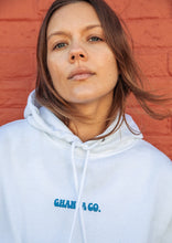 Load image into Gallery viewer, Vintage Hoodie
