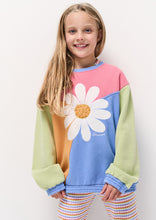 Load image into Gallery viewer, Panel Thrift Crew