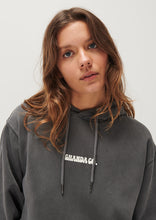 Load image into Gallery viewer, Vintage Hoodie