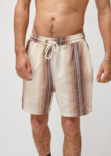 Load image into Gallery viewer, Murphy Shorts