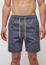 Load image into Gallery viewer, Eric Cord Walk Shorts