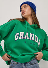 Load image into Gallery viewer, North Hoodie