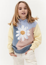 Load image into Gallery viewer, Panel Hoodie