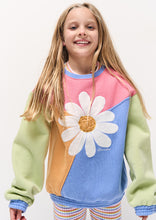 Load image into Gallery viewer, Panel Thrift Crew