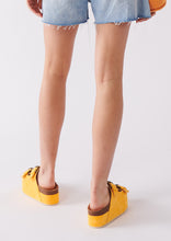 Load image into Gallery viewer, Heidi Platform Slides