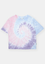 Load image into Gallery viewer, Bibs Tee