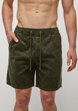 Load image into Gallery viewer, Eric Cord Walk Shorts