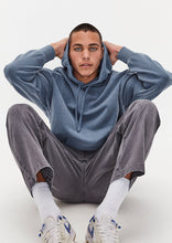 Load image into Gallery viewer, Basic Thrift Hoodie