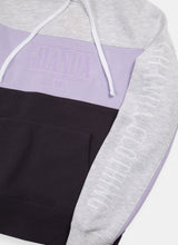 Load image into Gallery viewer, Sports Panel Hoodie