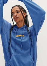 Load image into Gallery viewer, Vintage Hoodie