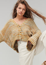 Load image into Gallery viewer, Spectrum Cardi