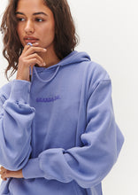 Load image into Gallery viewer, Vintage Hoodie