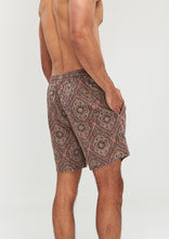 Load image into Gallery viewer, Murphy Shorts