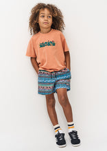Load image into Gallery viewer, Jam Shorts