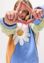 Load image into Gallery viewer, Panel Thrift Crew