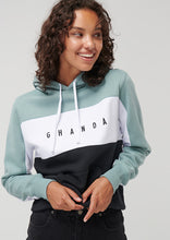 Load image into Gallery viewer, Sports Panel Hoodie