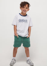 Load image into Gallery viewer, Chill Shorts