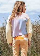 Load image into Gallery viewer, Daisy Panel Knit