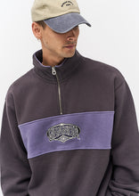 Load image into Gallery viewer, Panel Quarter Zip
