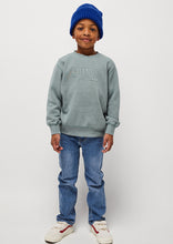 Load image into Gallery viewer, Iggy Denim Pants