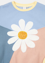 Load image into Gallery viewer, Panel Thrift Crew