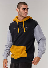 Load image into Gallery viewer, Oasis Hoodie