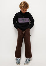 Load image into Gallery viewer, Panel Quarter Zip