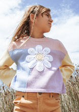 Load image into Gallery viewer, Daisy Panel Knit