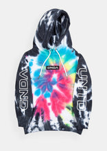 Load image into Gallery viewer, Vintage Hoodie