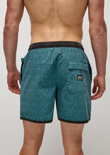 Load image into Gallery viewer, Jam Shorts