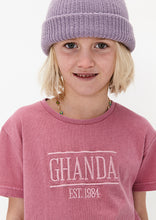 Load image into Gallery viewer, Bibs Tee