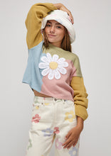 Load image into Gallery viewer, Daisy Panel Knit
