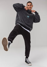 Load image into Gallery viewer, Washed Sherpa Quarter Zip