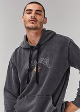 Load image into Gallery viewer, Regular Hoodies