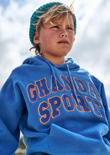 Load image into Gallery viewer, Rocky Hoodie