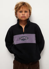 Load image into Gallery viewer, Panel Quarter Zip