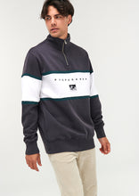 Load image into Gallery viewer, Panel Quarter Zip