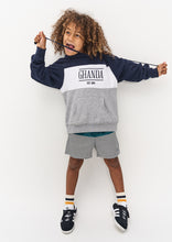 Load image into Gallery viewer, Regular Hoodie