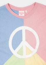 Load image into Gallery viewer, Panel Thrift Tee